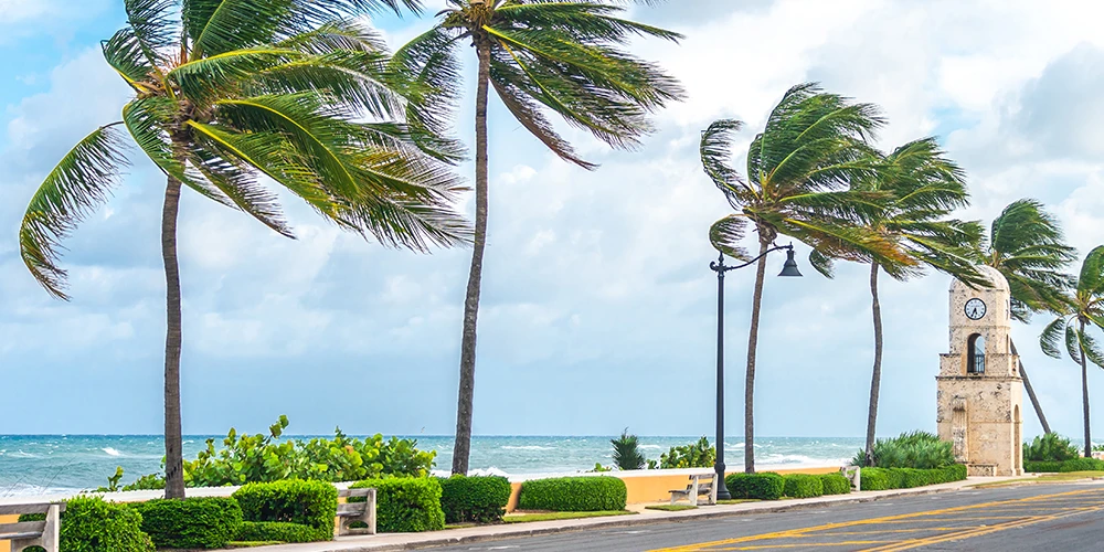 strong wind blowing trees and street lights on coastal area