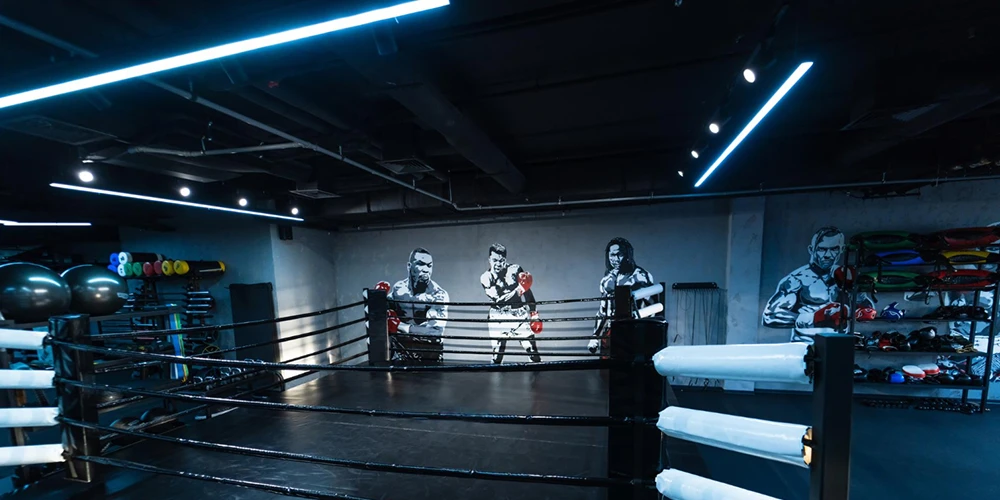 modern commercial boxing gym boxing club using colorful lighting