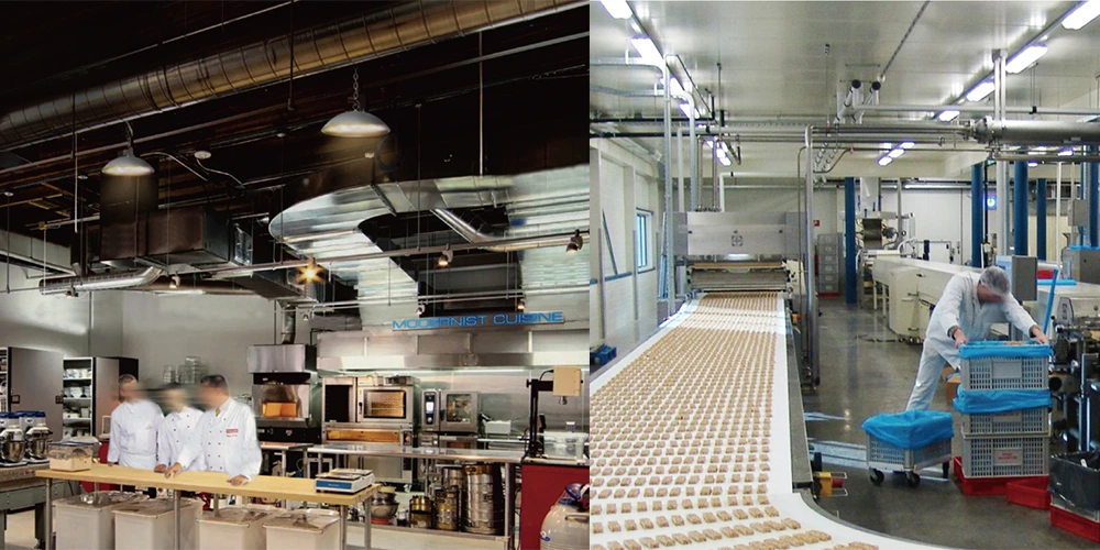 UFO vs. Linear High Bay for Food Processing Plants