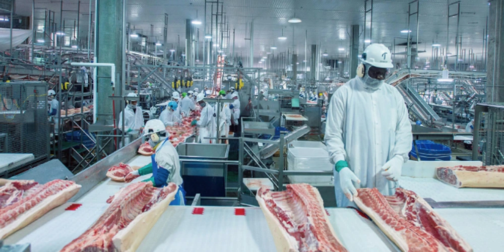 Can White LED Lighting Reduce Bacteria in Meat Plants?