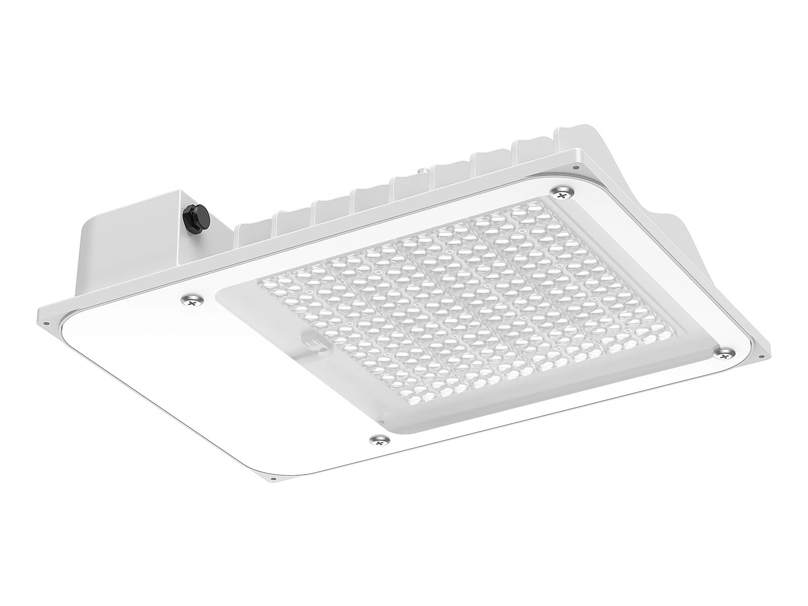 Petrol and Convenience LED Canopy Light