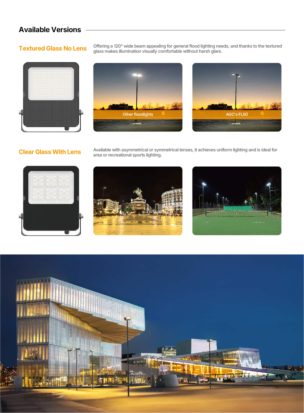 FL80 Efficient and Affordable flood light