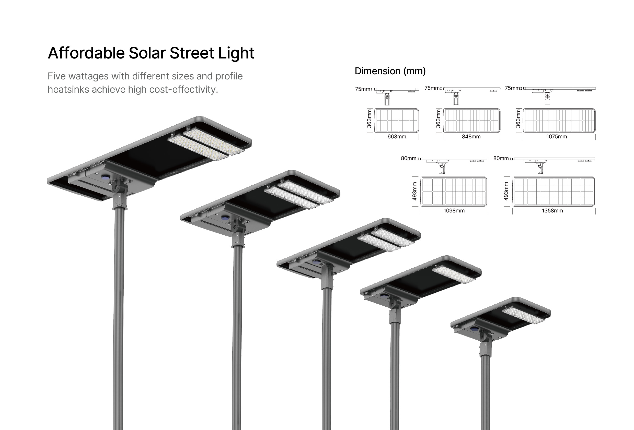 SL01 affordable solar streetlight 3